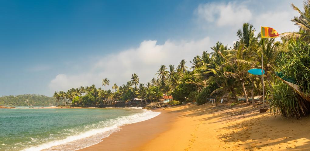 10 Things You Need to Know About Traveling to Sri Lanka in 2024